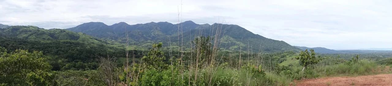 Agricultural Land For Sale in Turrubares - photo 9
