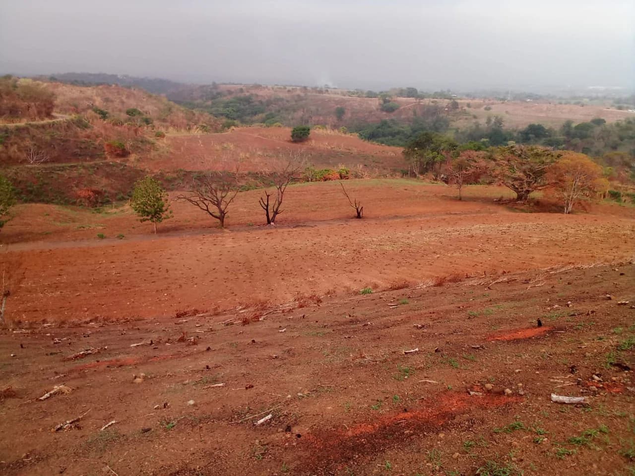 THE JEWEL OF GRECIA: $20m2 - 10 Hectares of Unlimited Potential!