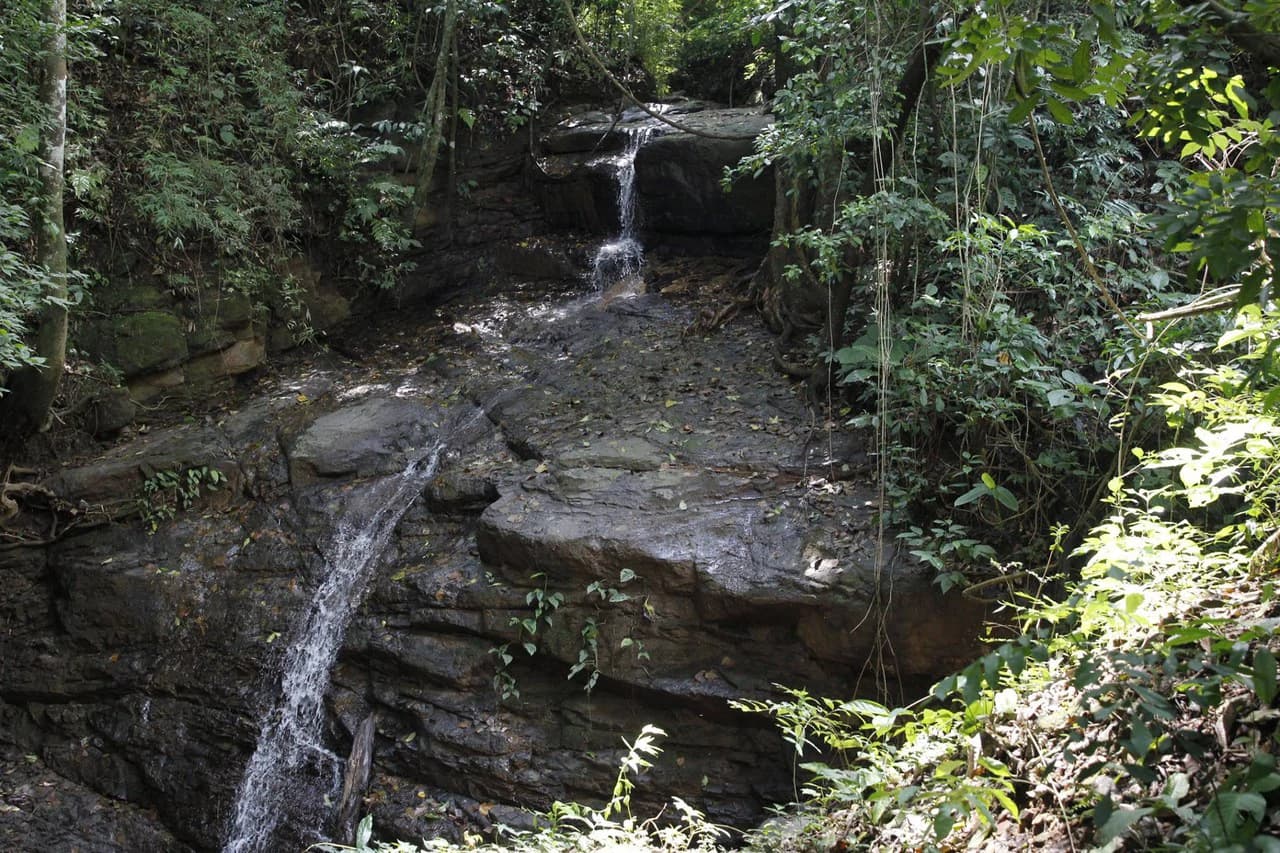 Lot for Sale in Gated Community Cerro Colon Ciudad Colon Costa Rica - photo 25