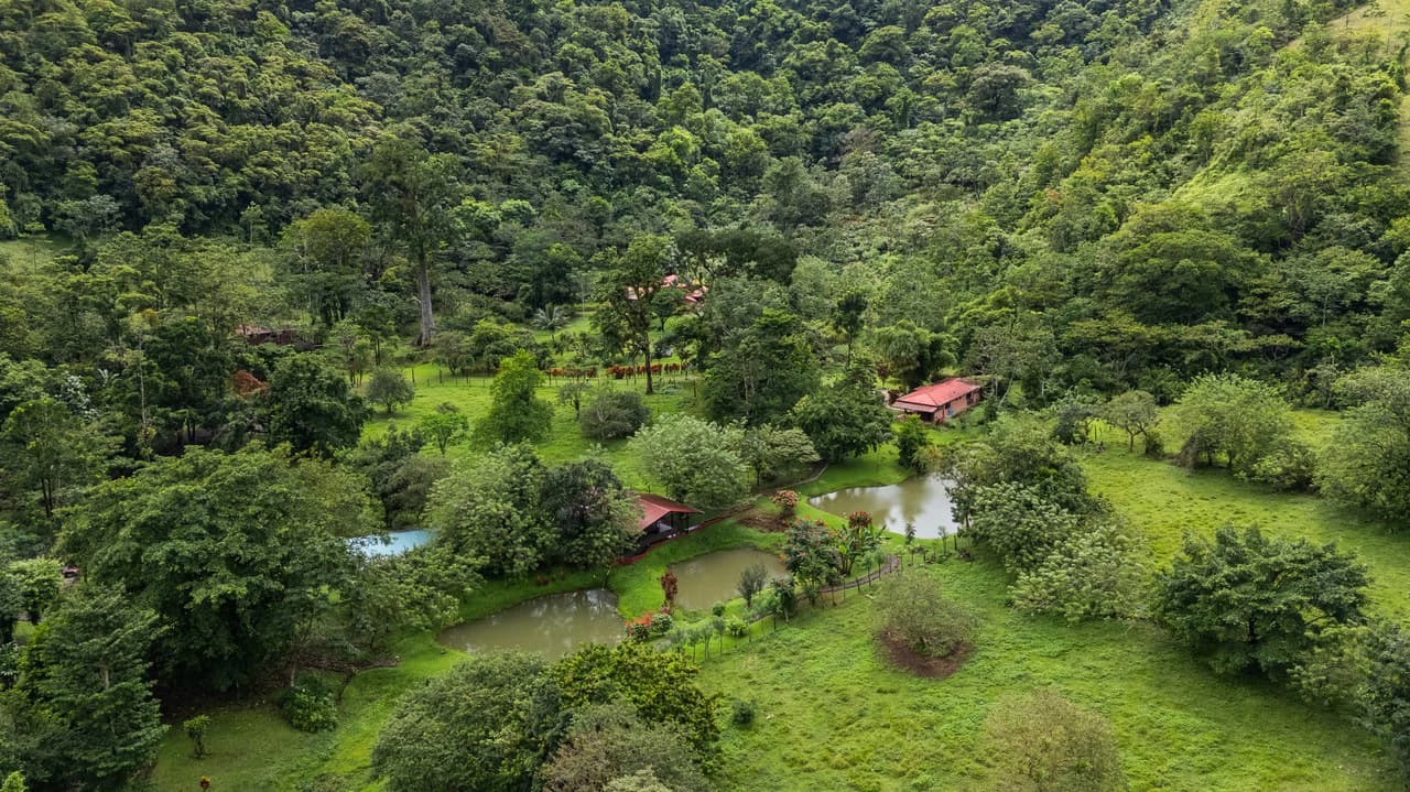 Finca Mei Tai: Enchanting property! Don't miss your chance to own a piece of paradise! - photo 22