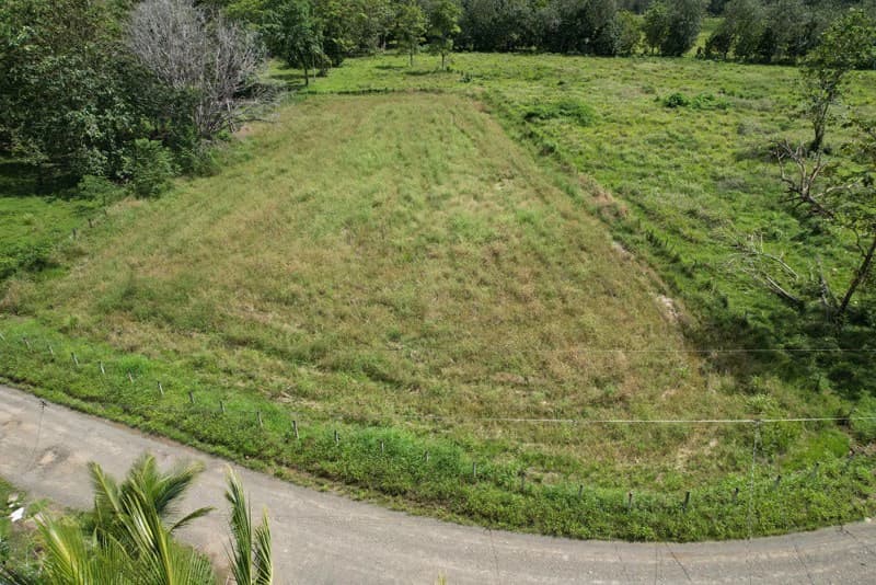 Land For Sale with Excellent Location in La Amapola, Puerto Jimenez - photo 8