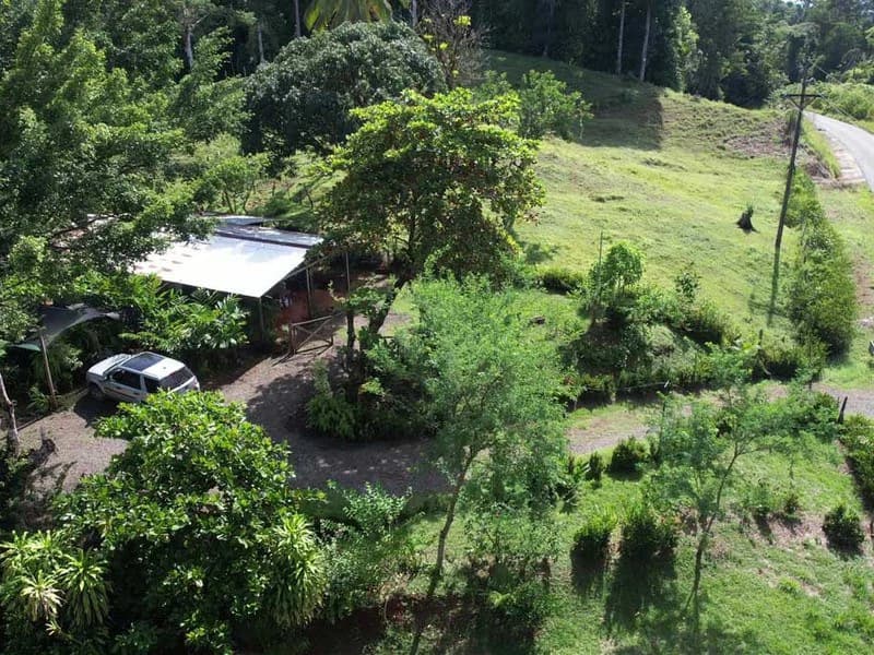 69.16 Acres Property | Mountain & Top Ocean View with Small Home - photo 20