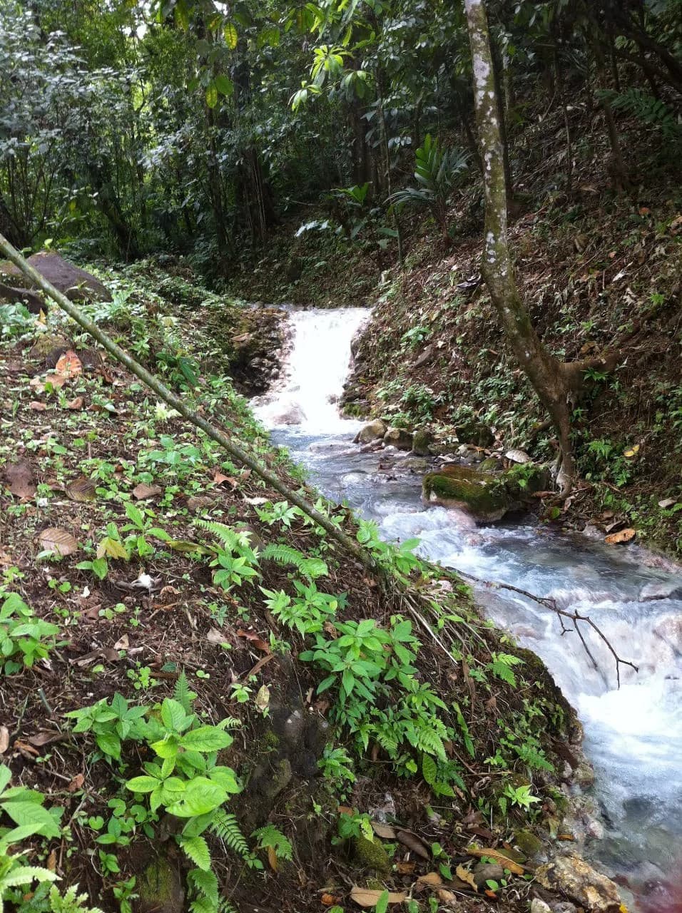Hot and Cold Thermal Springs for Sale – Beautiful Property in Dos Ríos, Alajuela with Excellent Commercial Potential - photo 80