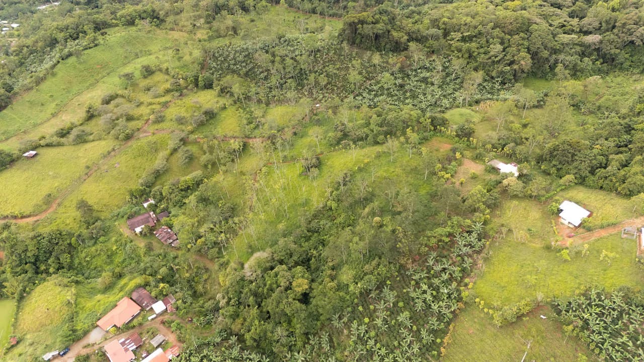 Se vende 6acres en San Antonio de Rivas, Pérez Zeledón: Countryside Home Construction Site For Sale in San Isidro del General - photo 18