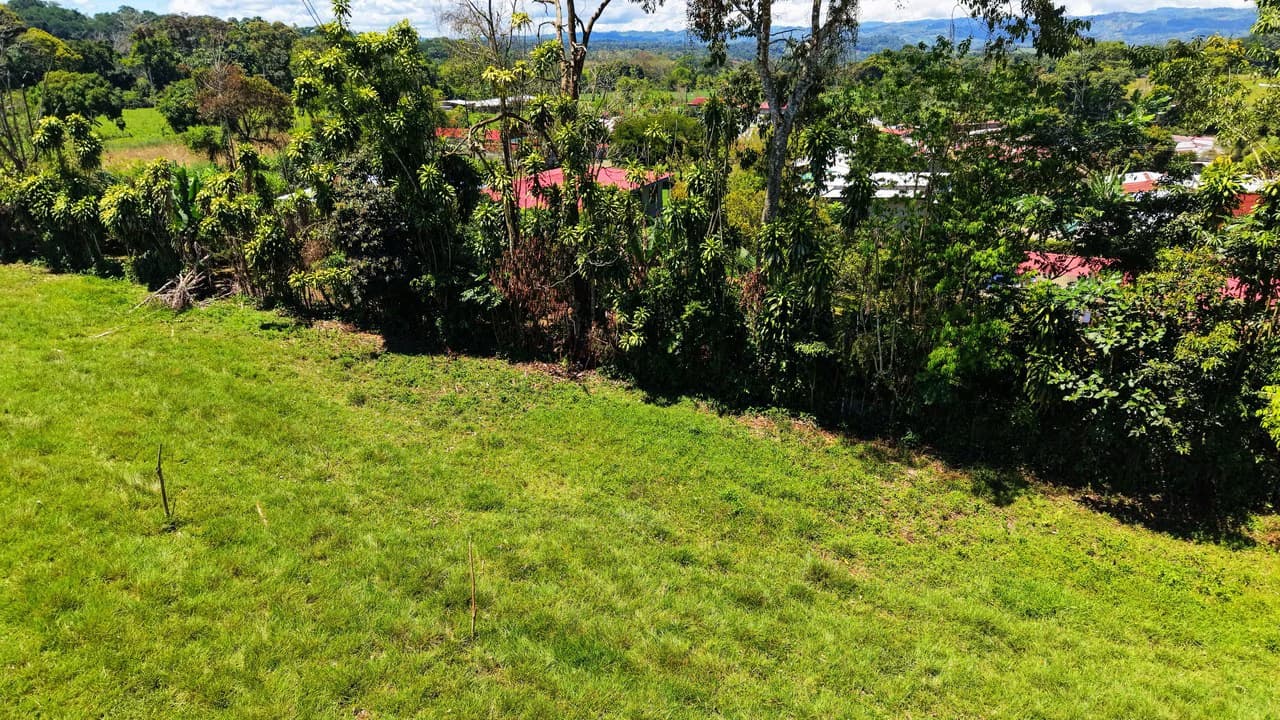 Countryside Home Construction Site For Sale in Daniel Flores - photo 6