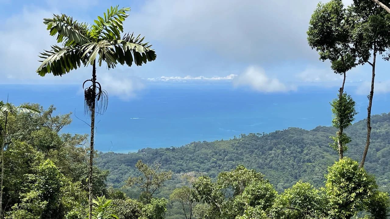 Los Nenes: Mountain Home Construction Site For Sale in Uvita - photo 10