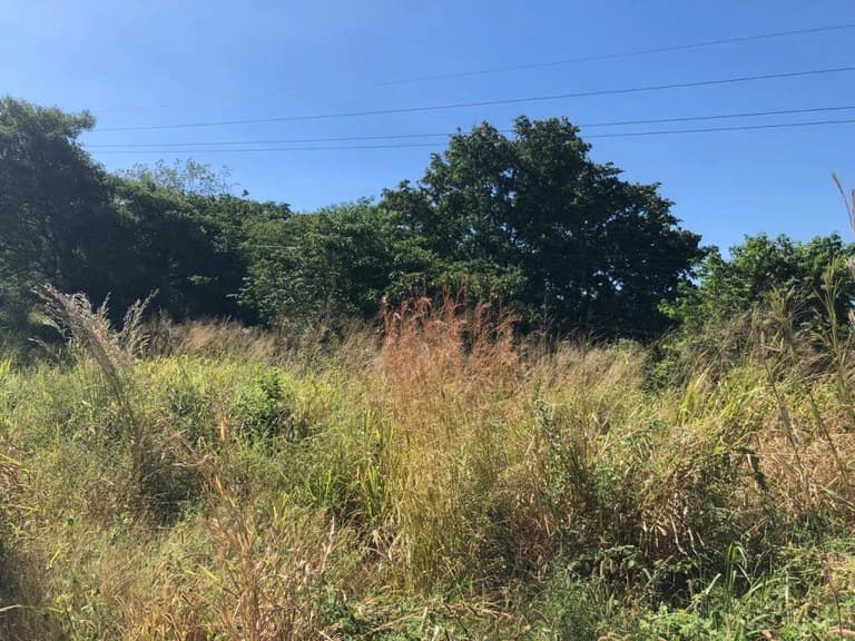 HIGHWAY TO HEAVEN: Commercial potential ! Large property on the Panamerican Highway. - photo 10