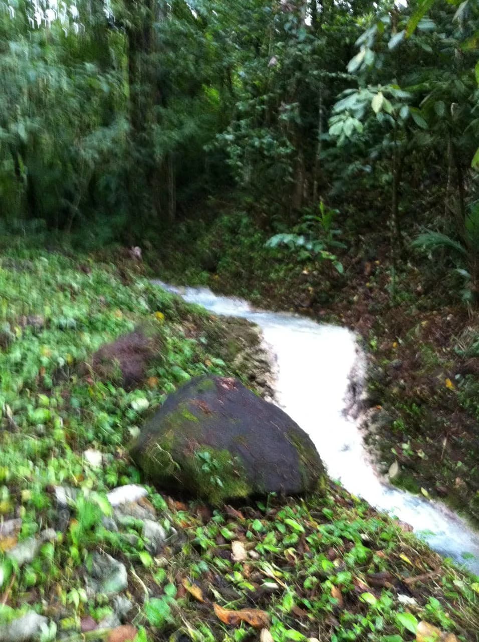 Hot and Cold Thermal Springs for Sale – Beautiful Property in Dos Ríos, Alajuela with Excellent Commercial Potential - photo 67
