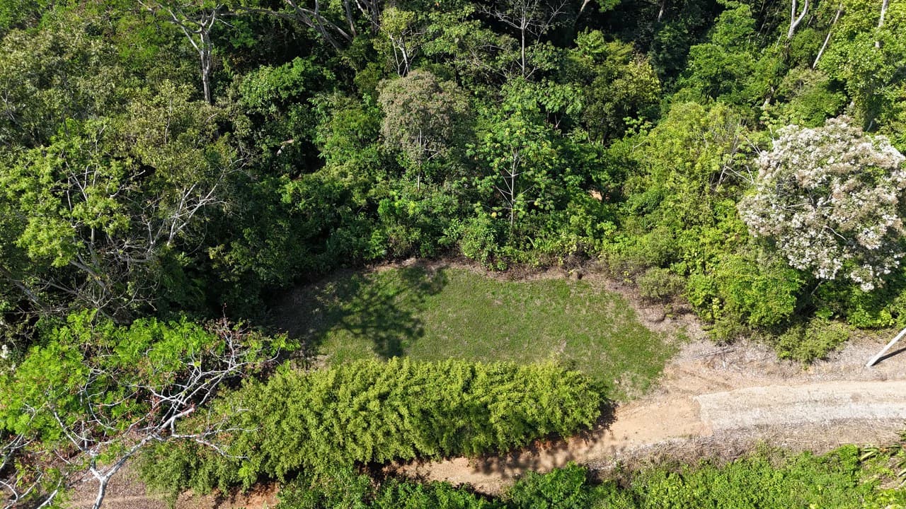 Exceptional Development Opportunity 71 acre Riverfront & Ocean View in Hatillo - photo 11