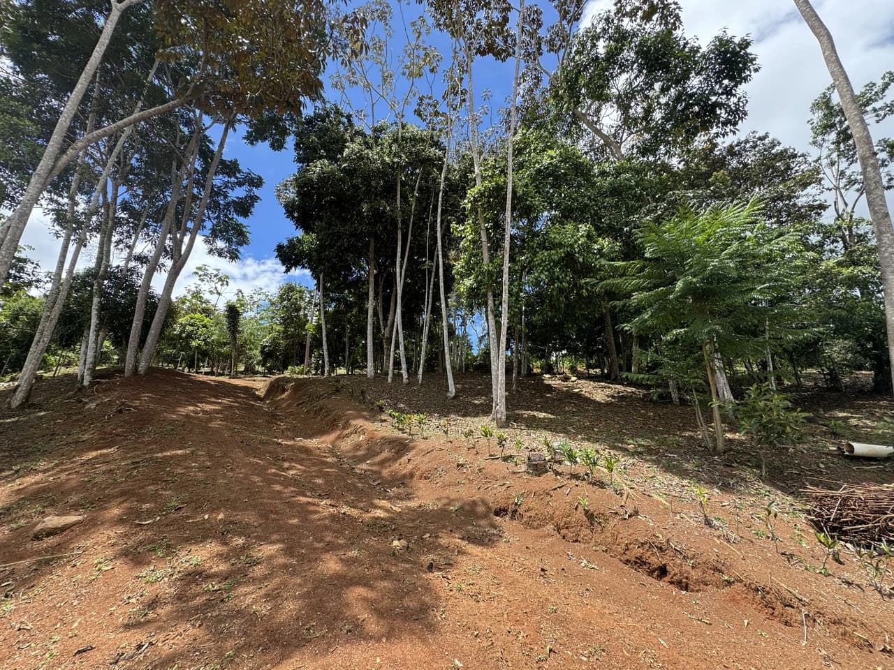Prime 40,000 Sq. Ft. Building Lot with Mountain & Valley Views in Pérez Zeledón - photo 10