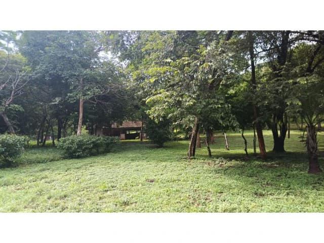 Dream Ranch for Sale with Houses and Horse Stable in Guanacaste – Great Investment Opportunity - photo 5