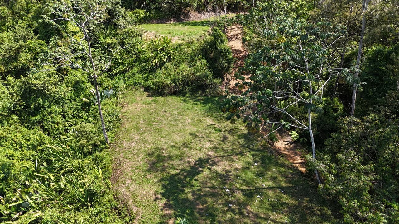 Exceptional Development Opportunity 71 acre Riverfront & Ocean View in Hatillo - photo 19