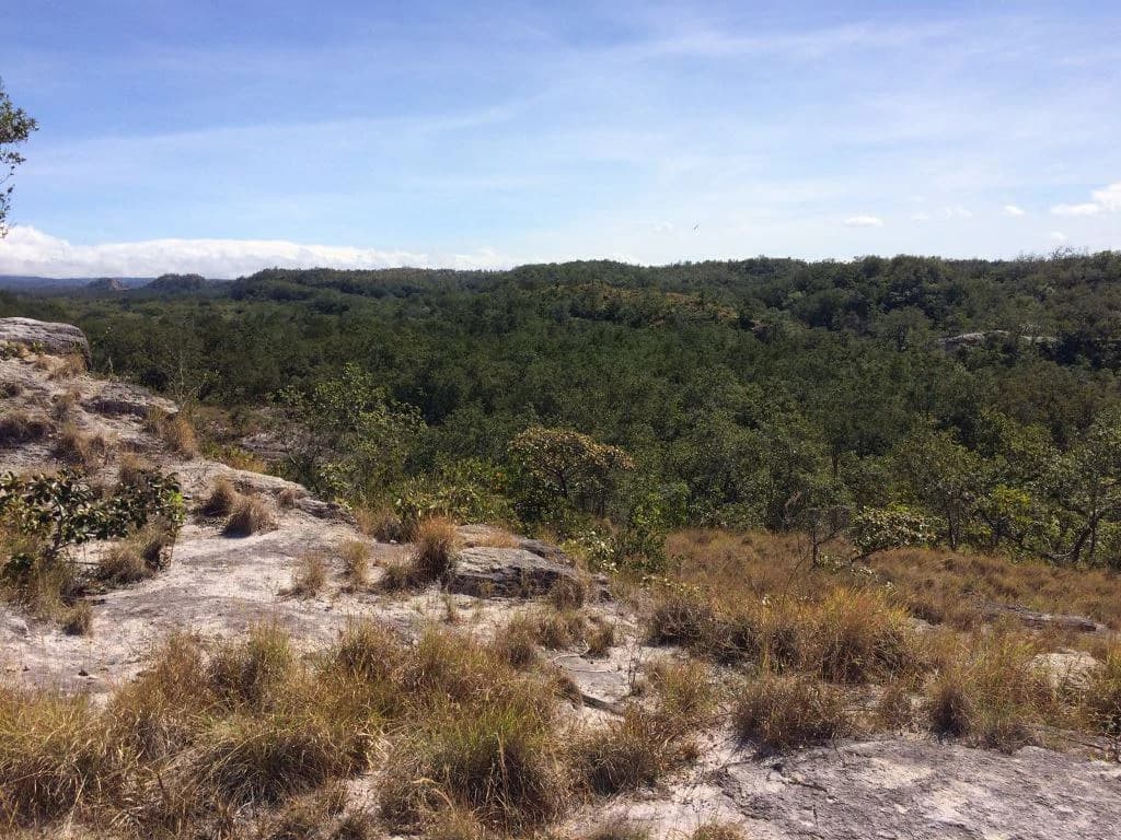 Large Property in Curubandé of Liberia - photo 2