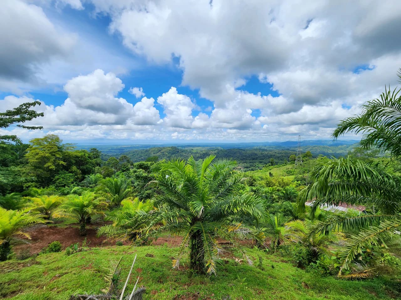 PRIME PARRITA FARM FOR SALE - photo 17