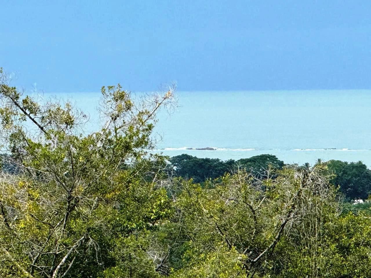 Prime Ocean View Development Property in Downtown Uvita - photo 2