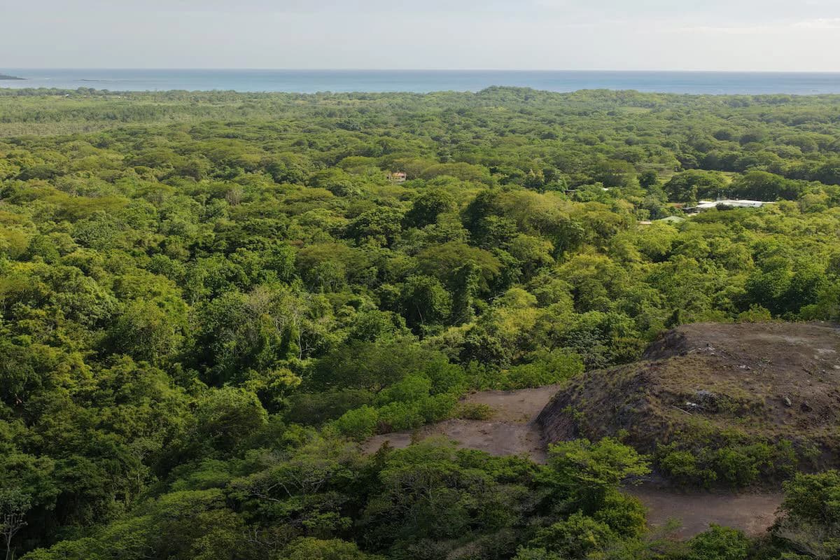 2,045m2 Ocean View Mixed-Use Lot In Playa Grande - photo 5