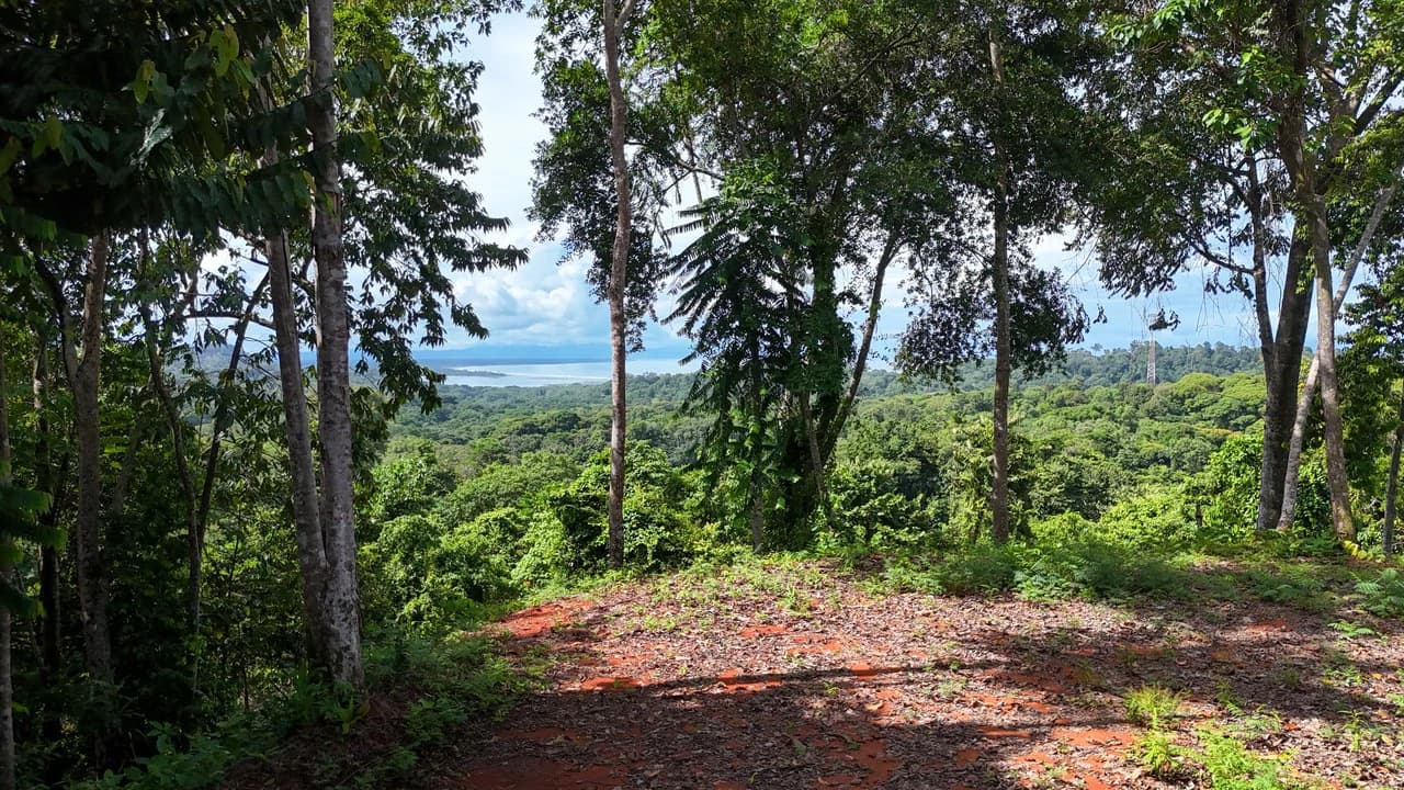 Spectacular Ocean view on 7.7 acres: Mountain Home Construction Site For Sale in Bahía Ballena - photo 5