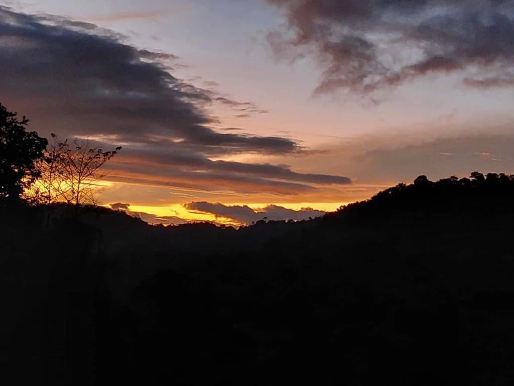SECLUDED PARADISE WITH STUNNING VIEWS, WATERFALLS & ABUNDANT WILDLIFE - photo 23