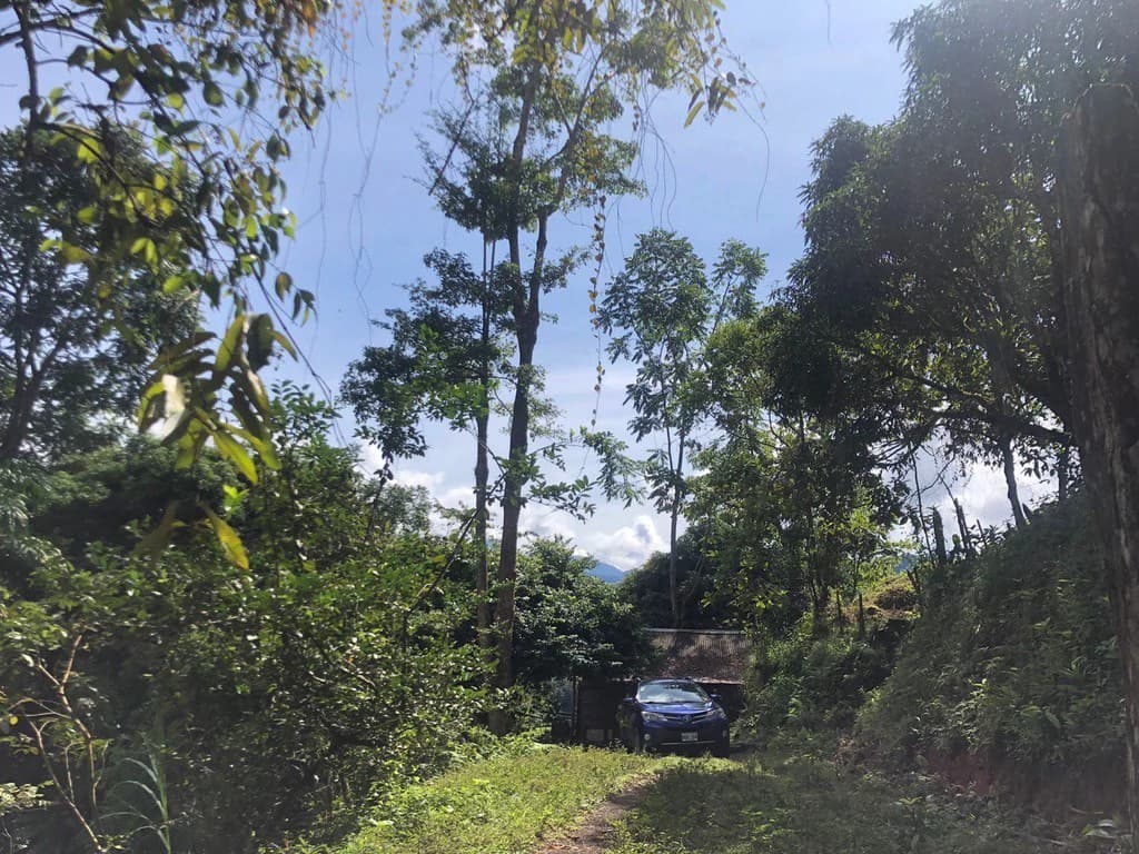 SECLUDED PARADISE WITH STUNNING VIEWS, WATERFALLS & ABUNDANT WILDLIFE - photo 39