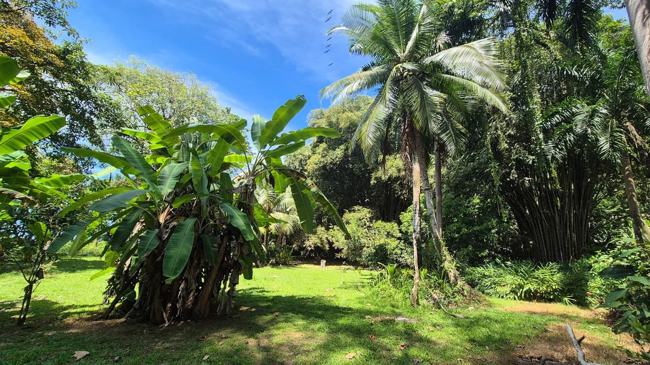 Dream Beachfront Property at Ballena Beach in Uvita, Costa Rica - photo 5