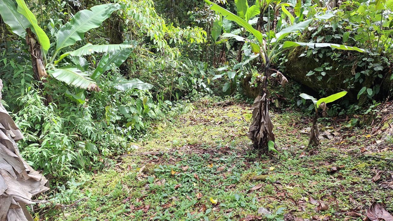 Propiedad en cedral: Mountain Home Construction Site For Sale in Cajón - photo 11