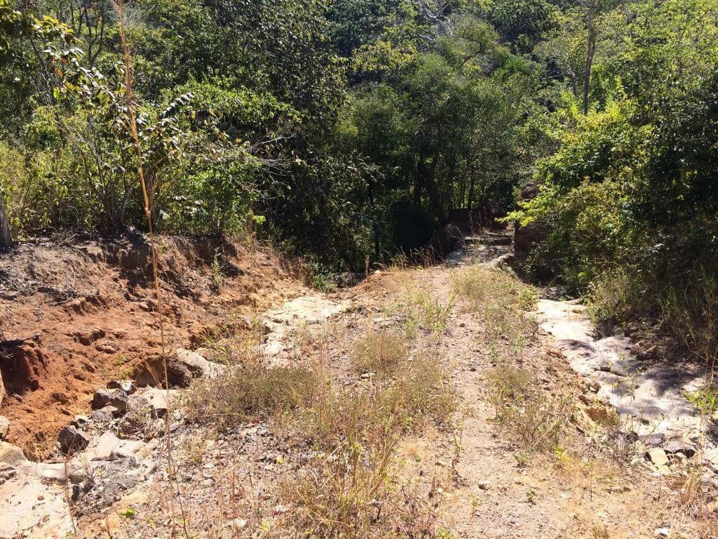 Large Property in Curubandé of Liberia - photo 4