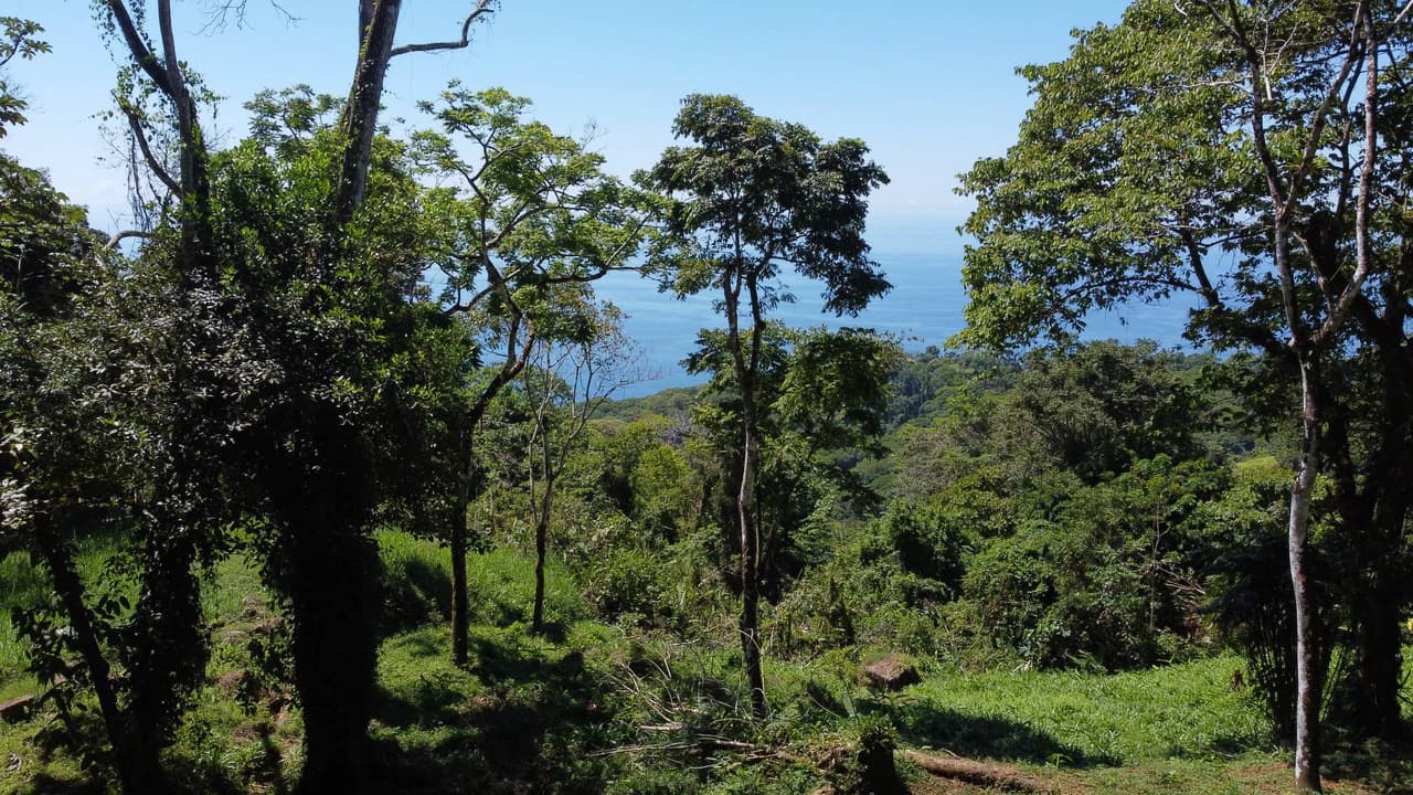 Exclusive 5.80 acres Ocean View Estate Lot in Costa Verde Estates – Escaleras - photo 16