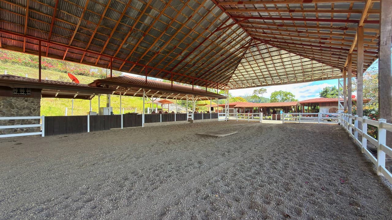 Agricultural Land For Sale in Daniel Flores - photo 14