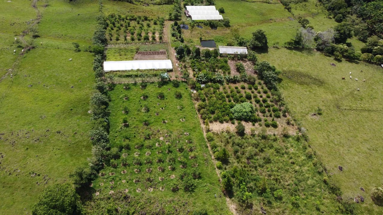 Se vende lote agrícola, en Cajón, Perez Zeledon.: Mountain Home Construction Site For Sale in Cajón - photo 22
