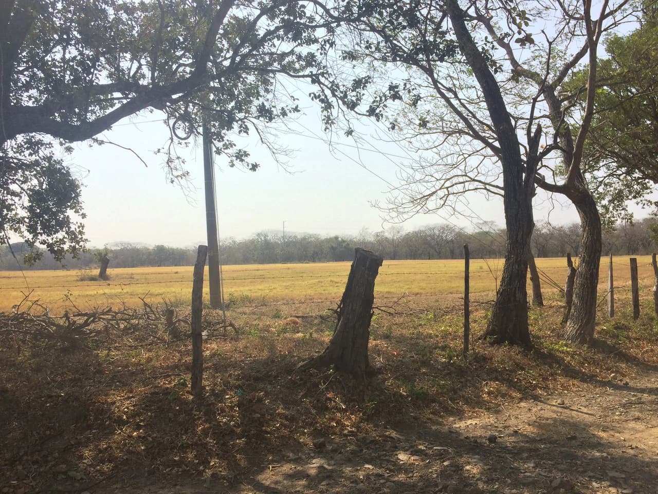 Lotes desde los 5 mil metros en Liberia Centro: Development Parcel For Sale in Liberia - photo 6