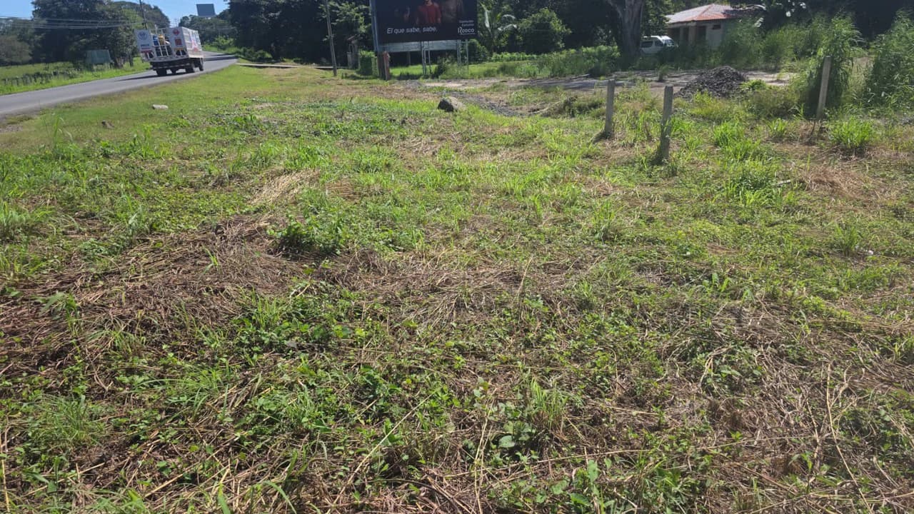 Commercial Airport property for sale with public road frontage on route #21, close to Liberia International Airport - photo 2