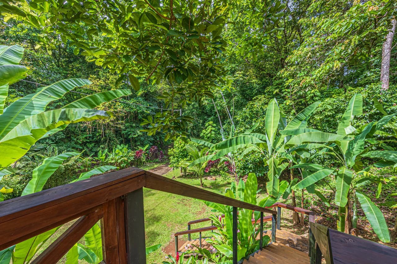 A Jungle House Built of Wood & River Dreams - photo 31