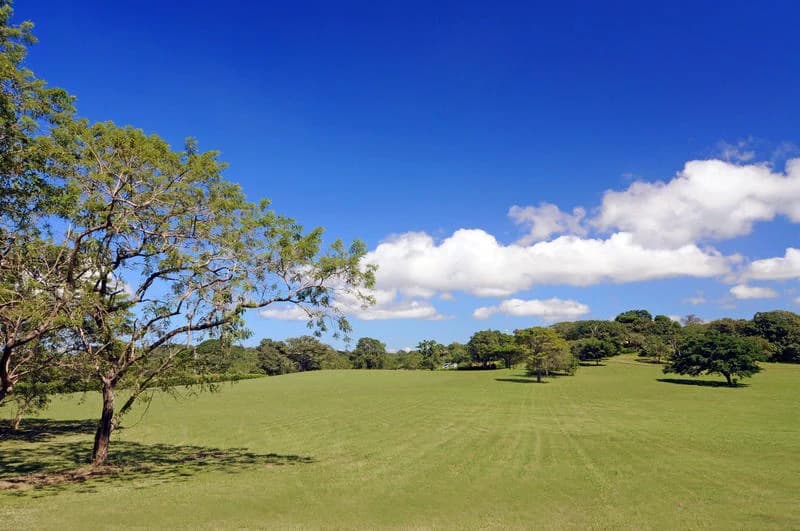 Near the Coast, Oceanfront and Riverfront Agricultural Land For Sale in Papagayo Gulf - photo 3