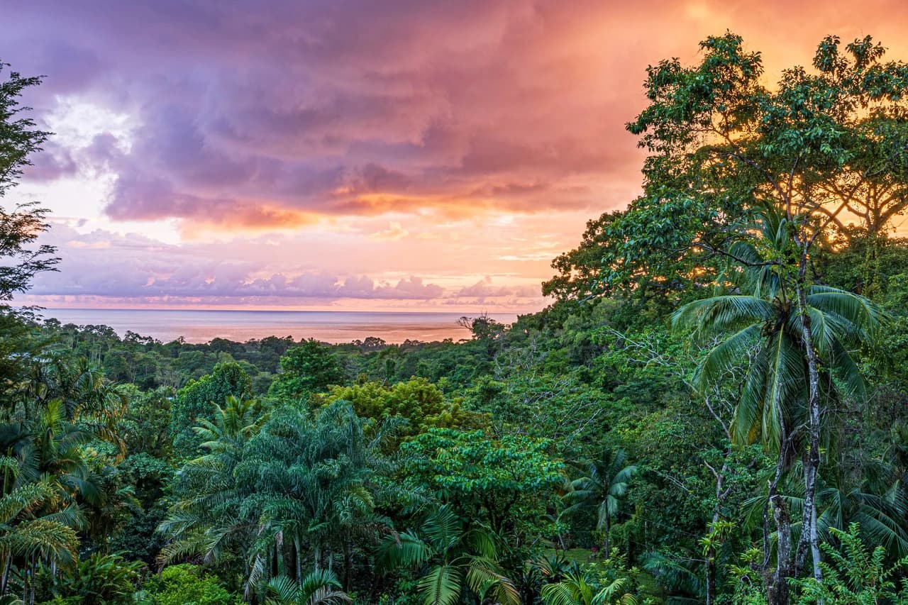 Luxurious Coastal Retreat with Ocean Views in Uvita, Costa Rica - photo 40