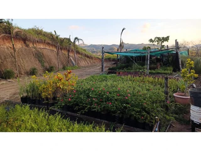 Exclusive lot for sale in Hojancha's green, tropical, rolling mountains, just 3 minutes from town