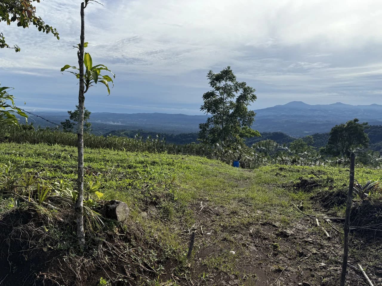 13.81-ACRE COSTA RICA MOUNTAIN PROPERTY | PANORAMIC SUNRISE-TO-SUNSET VIEWS + ELECTRICITY & PRIVATE WELL | NEAR LA FORTUNA — $195,000 - photo 12