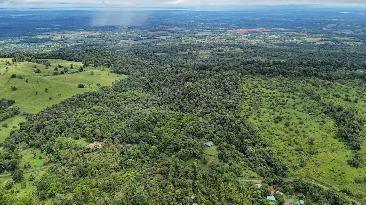 Finca Macadamia: 154-acre Rainforest Paradise with two Houses and Trails!