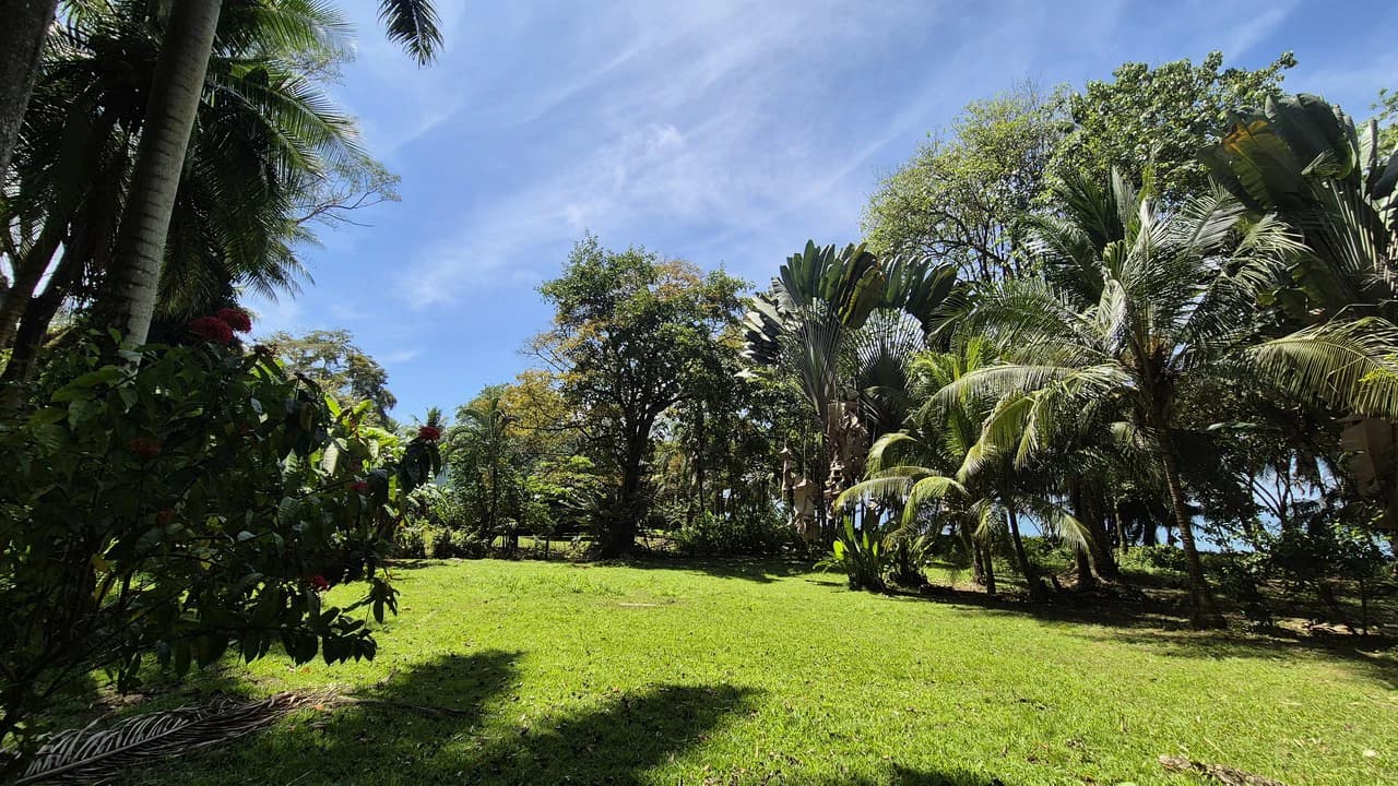 Dream Beachfront Property at Ballena Beach in Uvita, Costa Rica - photo 9