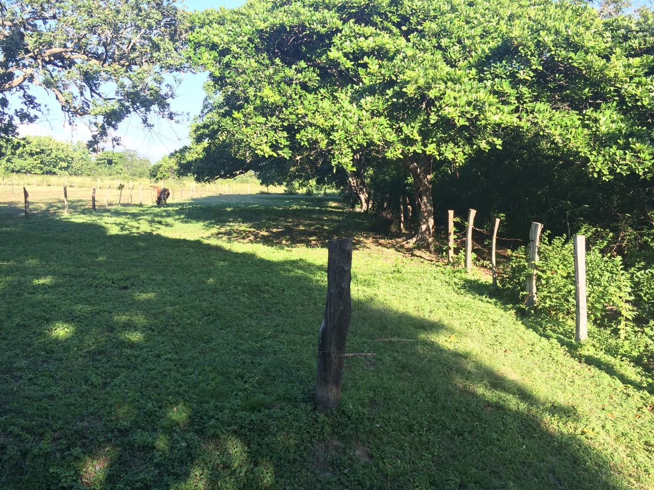 Precioso lote en Barrio La Cruz, Liberia: Building Lot for Sale in La Cruz – Flat Land Surrounded by Nature in a Peaceful Neighborhood - photo 2