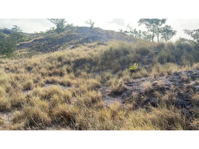 Zoning for homes, apartments, and warehouses in the mountains of Liberia, Beautiful 9.7 ha land with building permits - photo 12