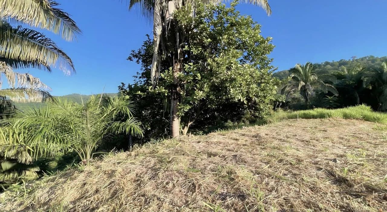 Exclusive Hermosa 1.2 Acre Lot with Panoramic Mountains and Ocean View. - photo 10