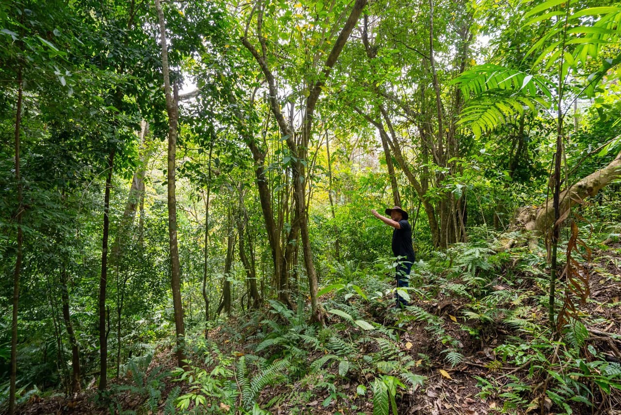 Rare 86-Acre Ocean View Estate Bordering Hacienda Barú – A Unique Opportunity for Conservation and Development - photo 35