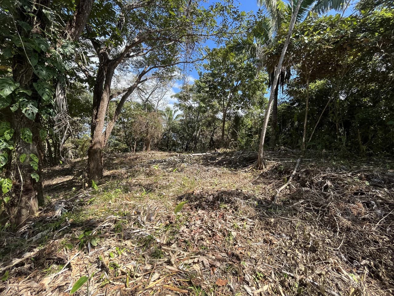 Lot 74 Montana: Beautiful Ocean View - photo 6