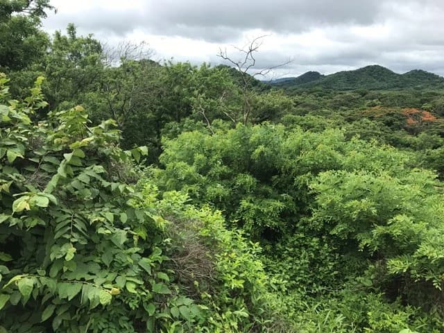 Big property with ocean view - photo 4