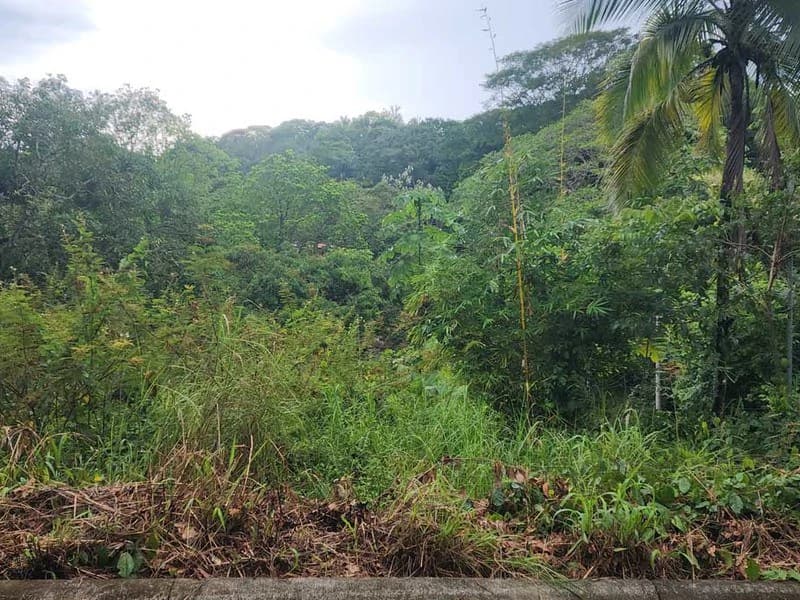 Subdividable lot in Manuel Antonio