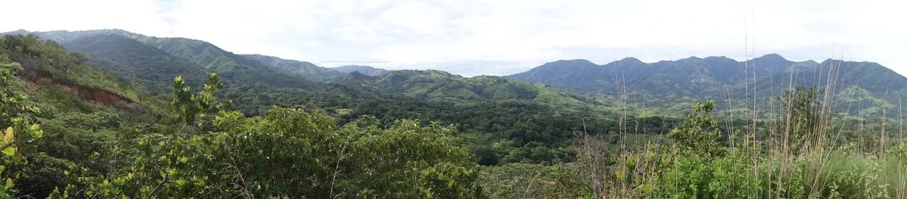 Agricultural Land For Sale in Turrubares - photo 8