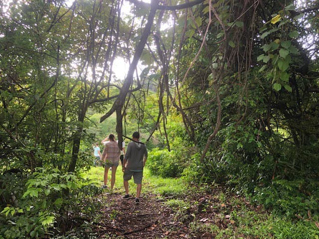 Warm Spring Mountain Property in a tropical landscape and antique wooden house, 50 minutes from Liberia city - photo 16