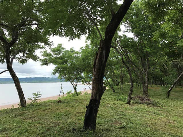 Big property with ocean view - photo 18