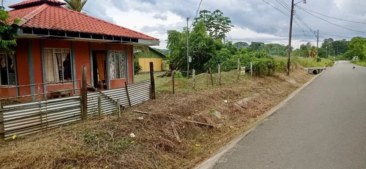 Prime Mixed-Use Property in La Palma, Puerto Jimenez - photo 9