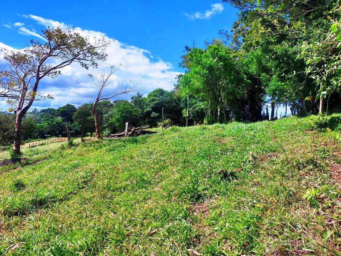 LA CABAÑA - 13+ ACRES & a TINY HOUSE & outstanding VIEWS - REDUCED PRICE - SELLER MOTIVATED - photo 26